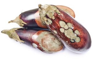 How To Know If Eggplant Is Bad? 4 Signs That You Must Know