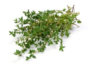 How To Chop Thyme (3 Best Ways)