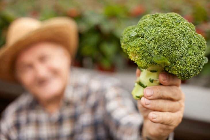How to Protect Broccoli From Bad Smelling