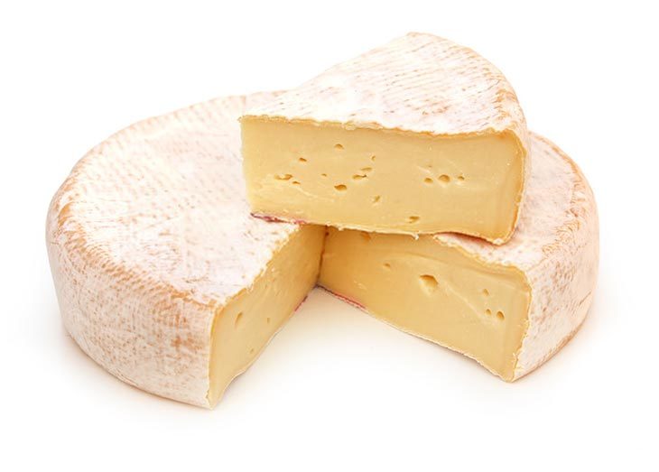 10 Best Farmer Cheese Substitute When Need A Replacements