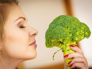 Why Does Broccoli Smell Like Gas and How To Prevent It