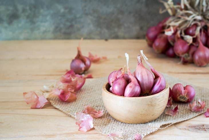 Shallot Substitute – 10 Best Replacement Can Save Your Dish!