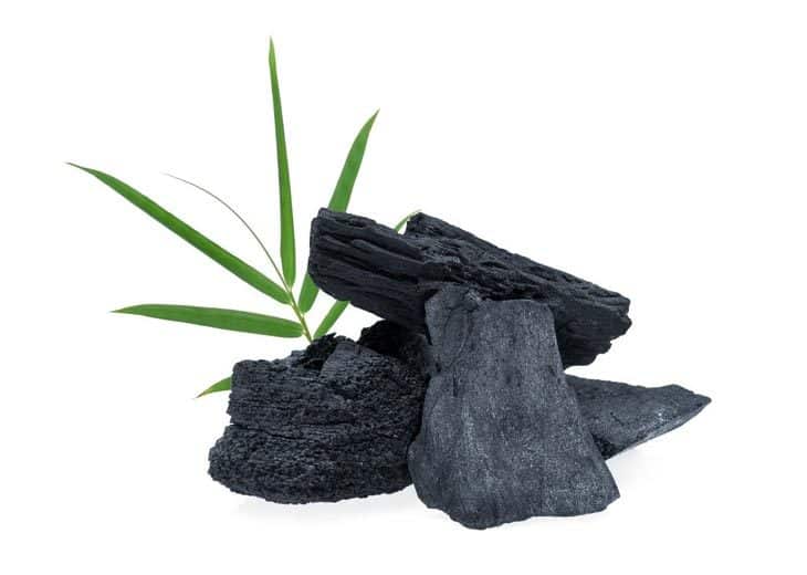 What Are Natural Lump Charcoal & Briquettes?