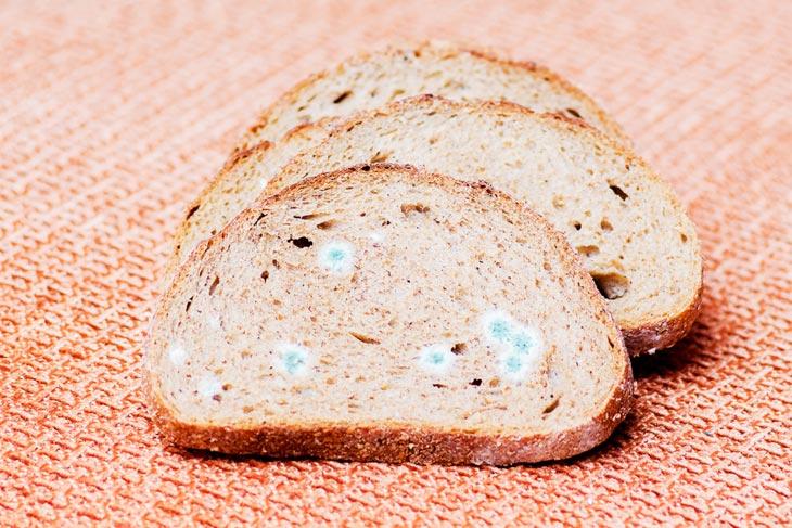 How Long Does It Take For Mold To Grow On Bread?