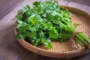 How Long Is Parsley Good For? How Can It Be Preserved?