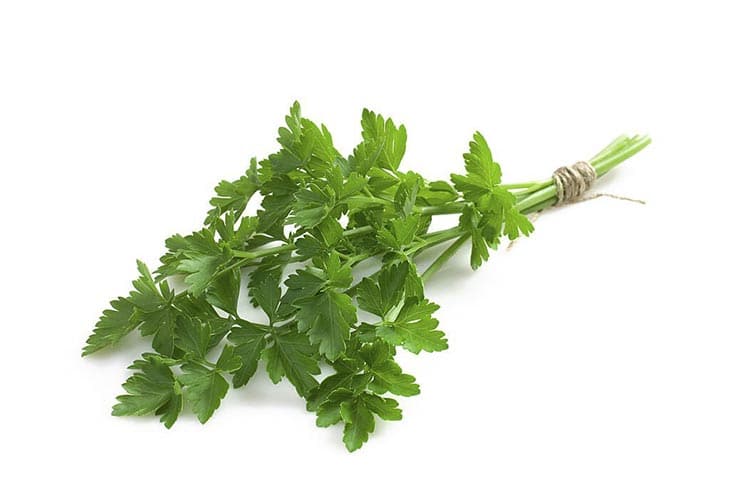 How Long Is Parsley Good For
