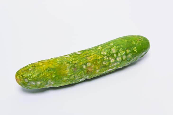 How To Tell If A Cucumber Is Bad