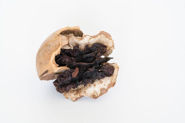 How To Tell If Walnuts Are Bad