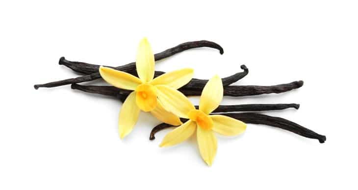 Vanilla Beans Substitute – 9 Best Option For Your Recipe!