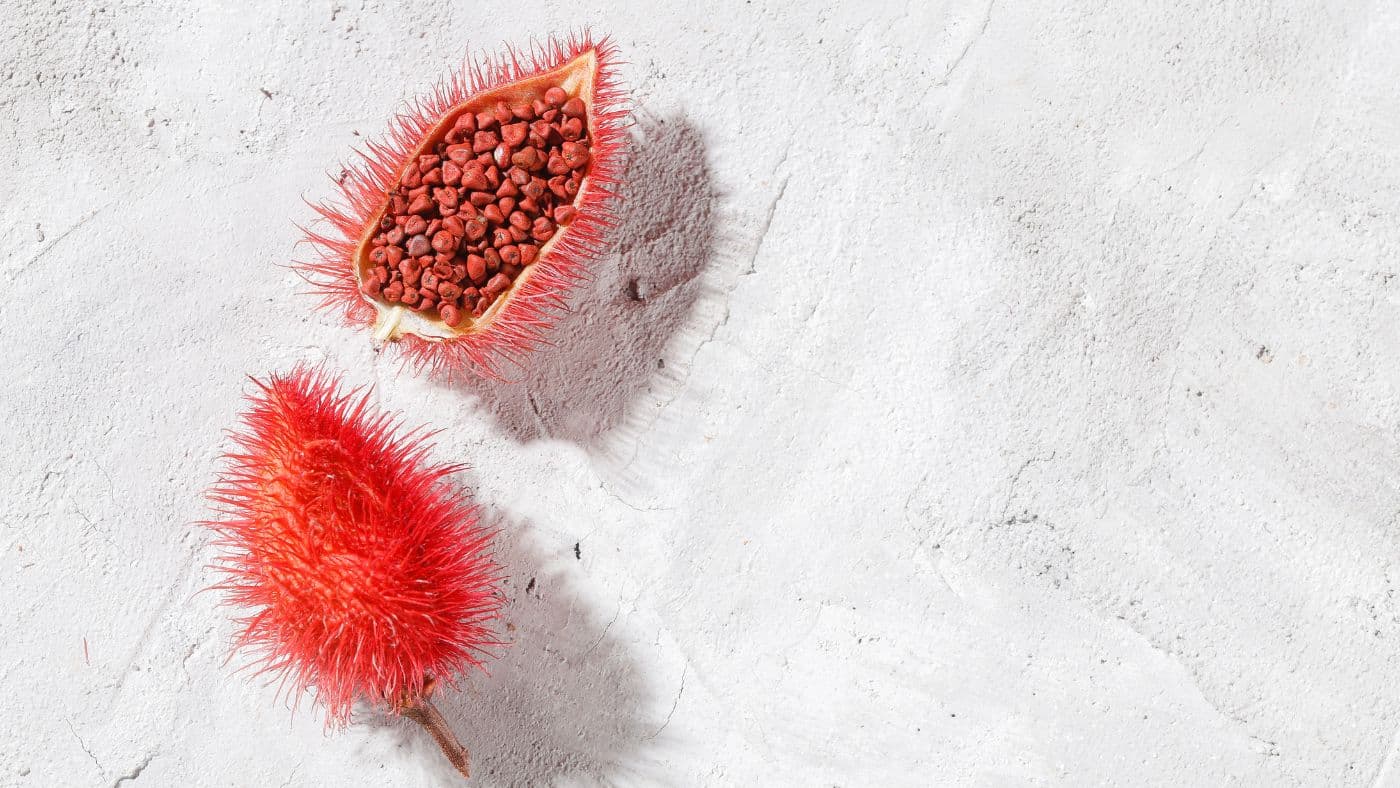 12 Best Ideas For Annatto Substitutes In Cooking