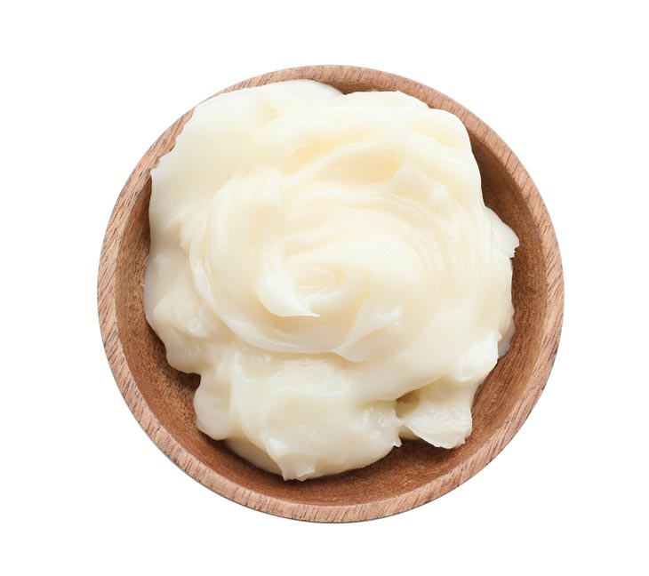 The Best Beef Tallow Substitutes
