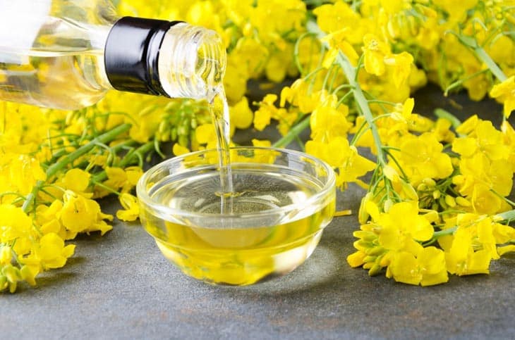 Does Canola Oil Go Bad? Tips On How To Preserve It