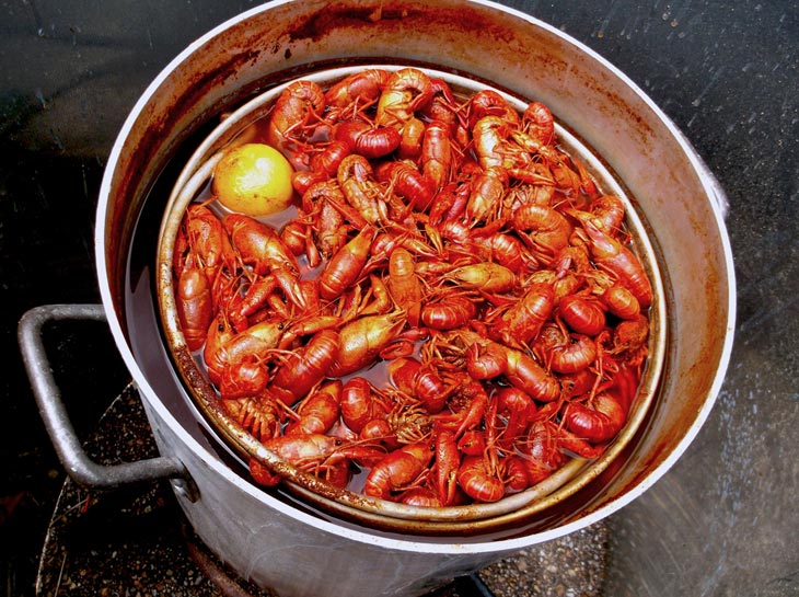 How To Reheat Crawfish By Boiling