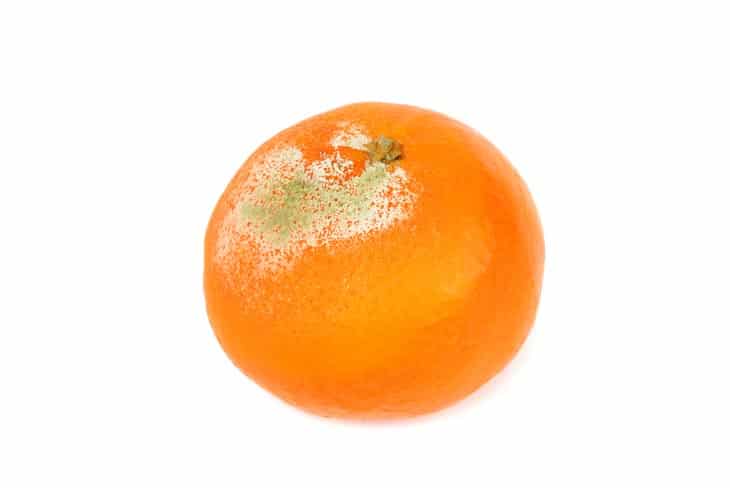 Orange Is Bad