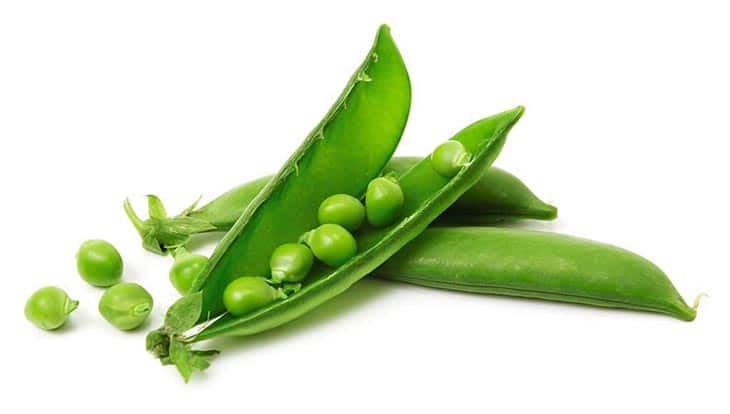 Sugar snap peas