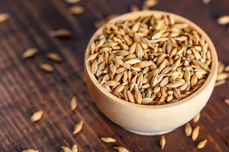 What Is Barley And Its Health Benefits?