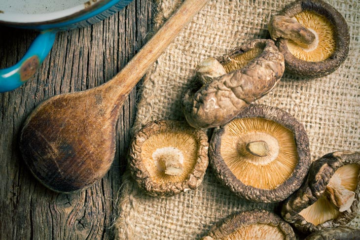 Why Should You Dry Mushrooms
