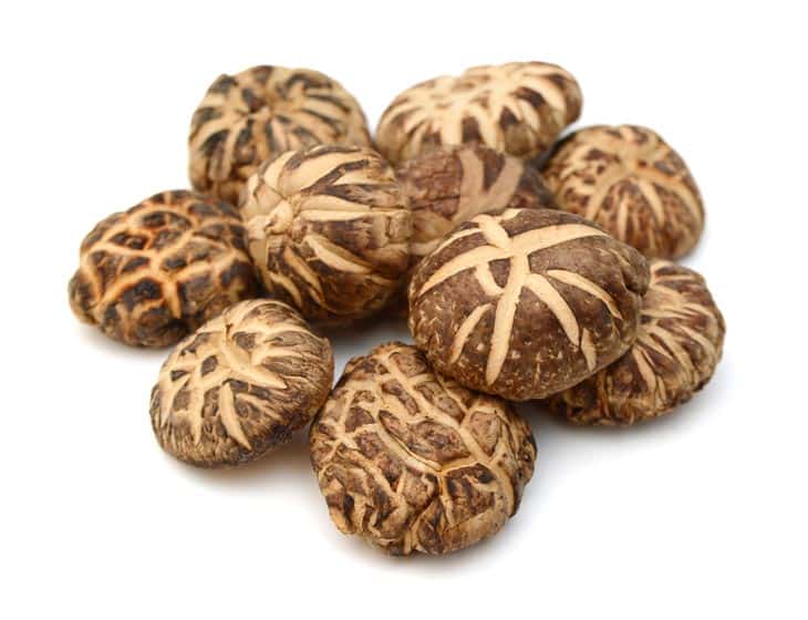How Long Do Dried Mushrooms Last?