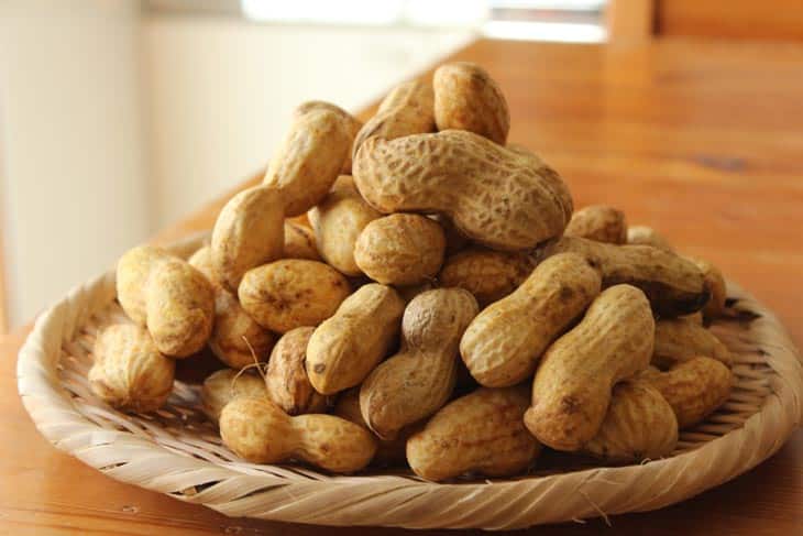 How To Reheat Boiled Peanuts – 2 Simple And Effective Ways