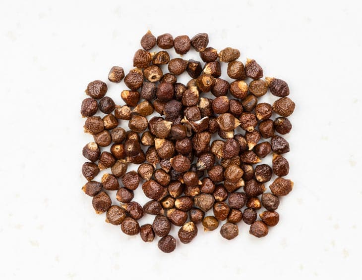 grains of paradise substitute