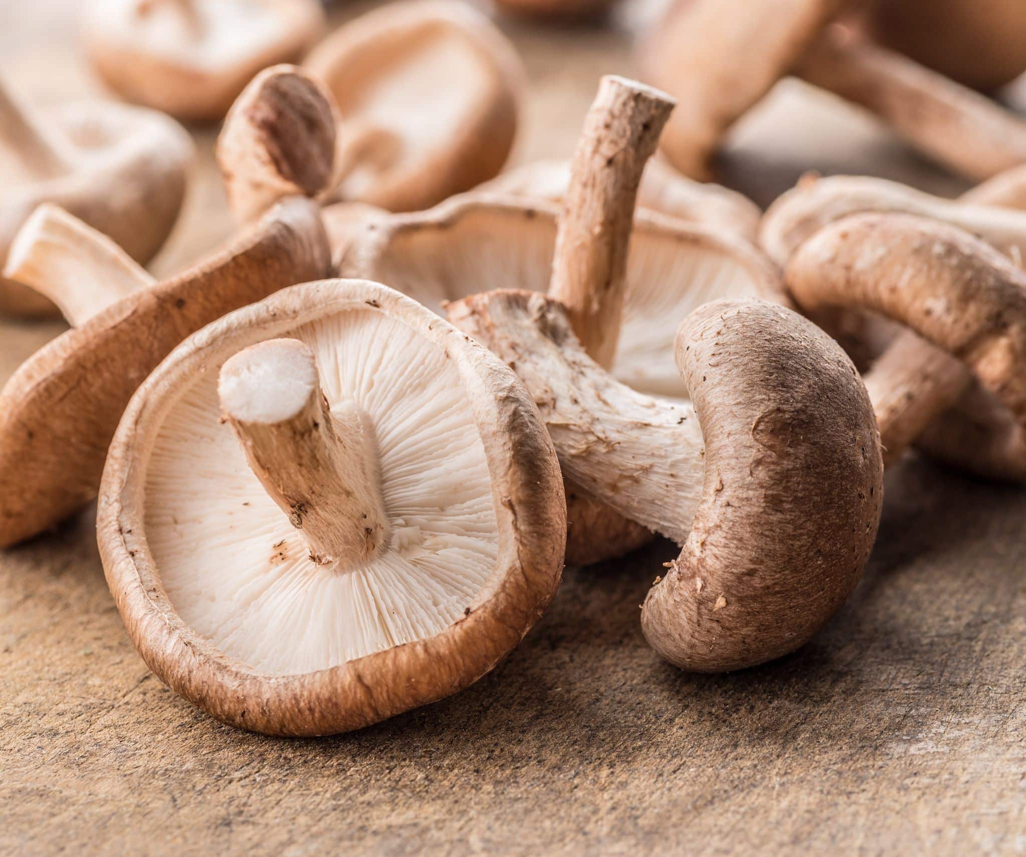 How To Know If Shiitake Mushrooms Are Bad