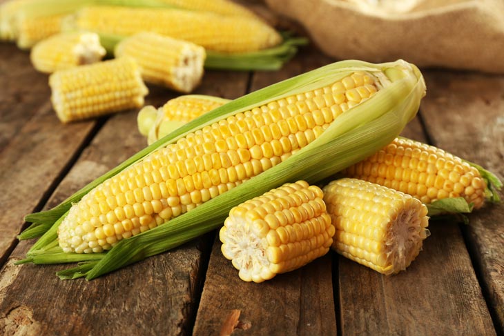 How to Tell If Corn on The Cob is Bad