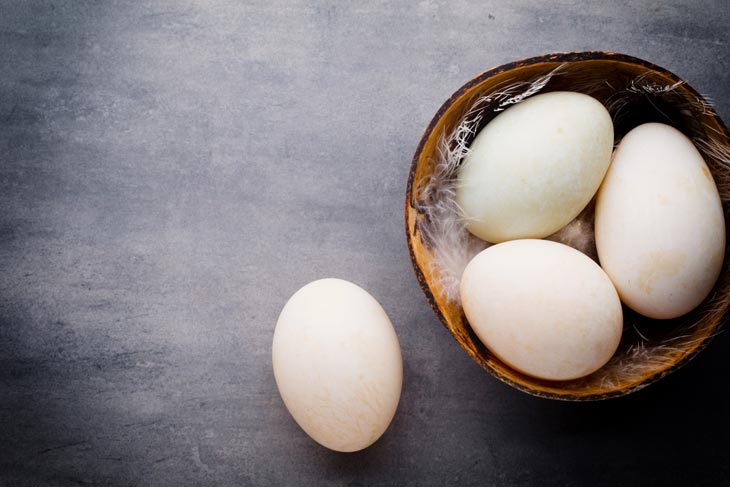How Long Are Duck Eggs Good For? Interesting Facts About Duck Eggs
