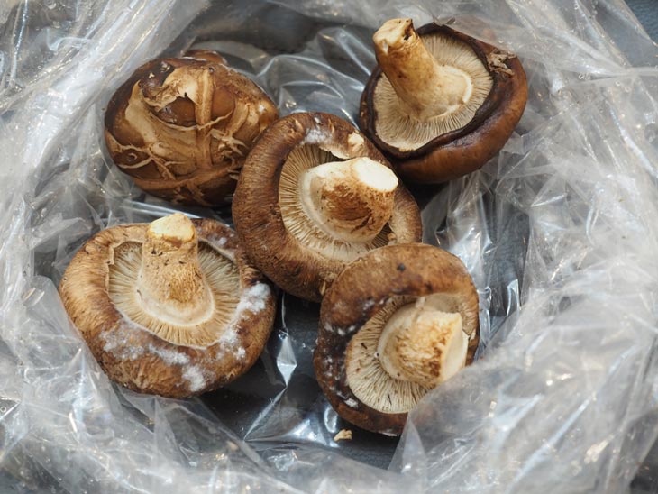 How Long Does Shiitake Mushroom Last?