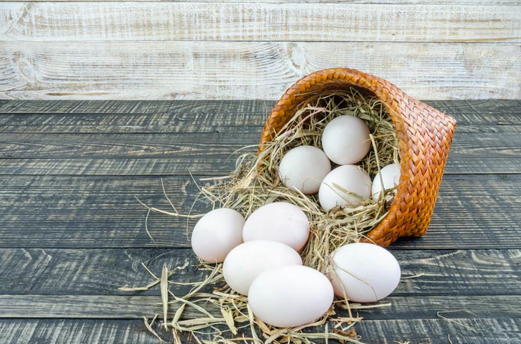 How Long Are Duck Eggs Good For