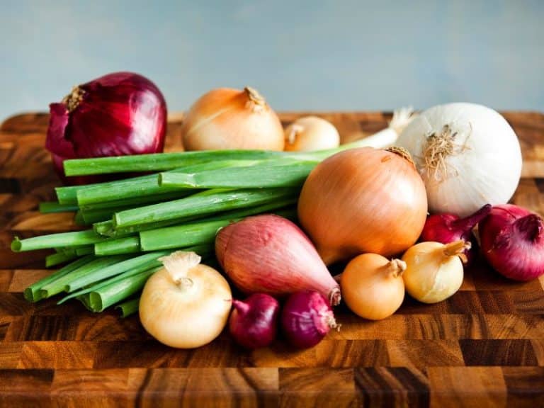 Types Of Onions: How to Choose The Right Ones For Your Recipes