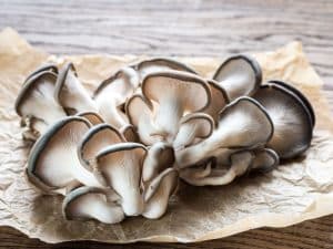 What is a Blue Oyster Mushroom (+ Recipe)