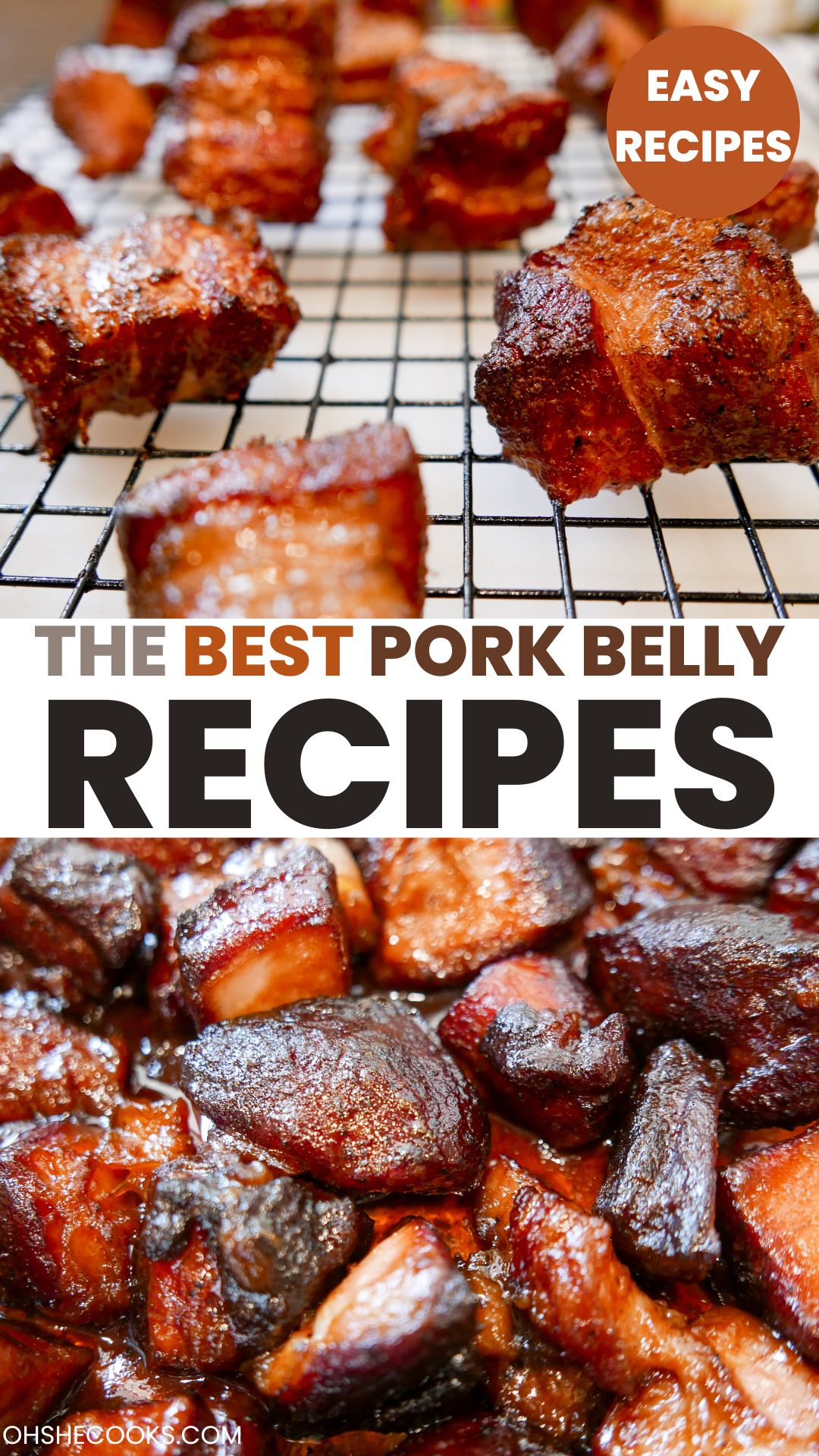 list of pork belly recipes