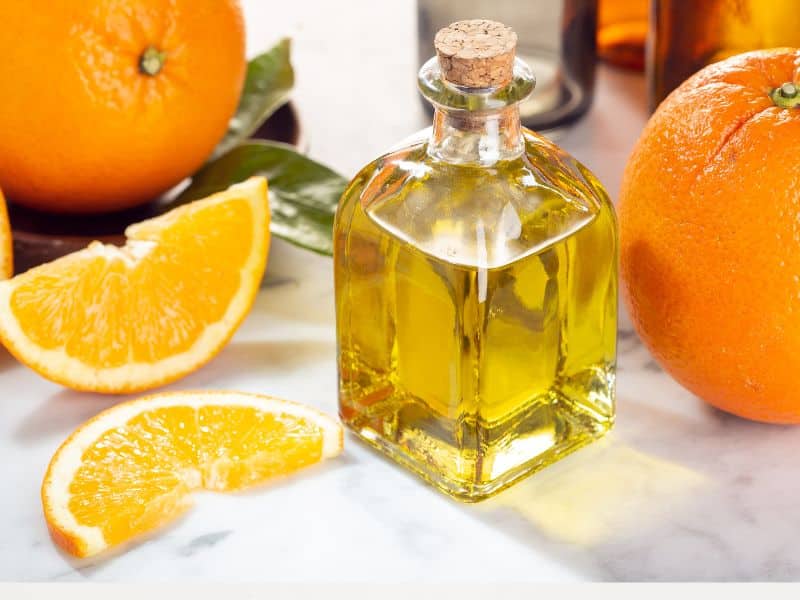 8-best-substitute-for-orange-extract-will-make-you-surprised