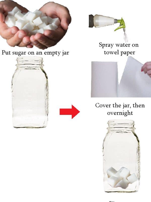 Wet Paper Towel Method