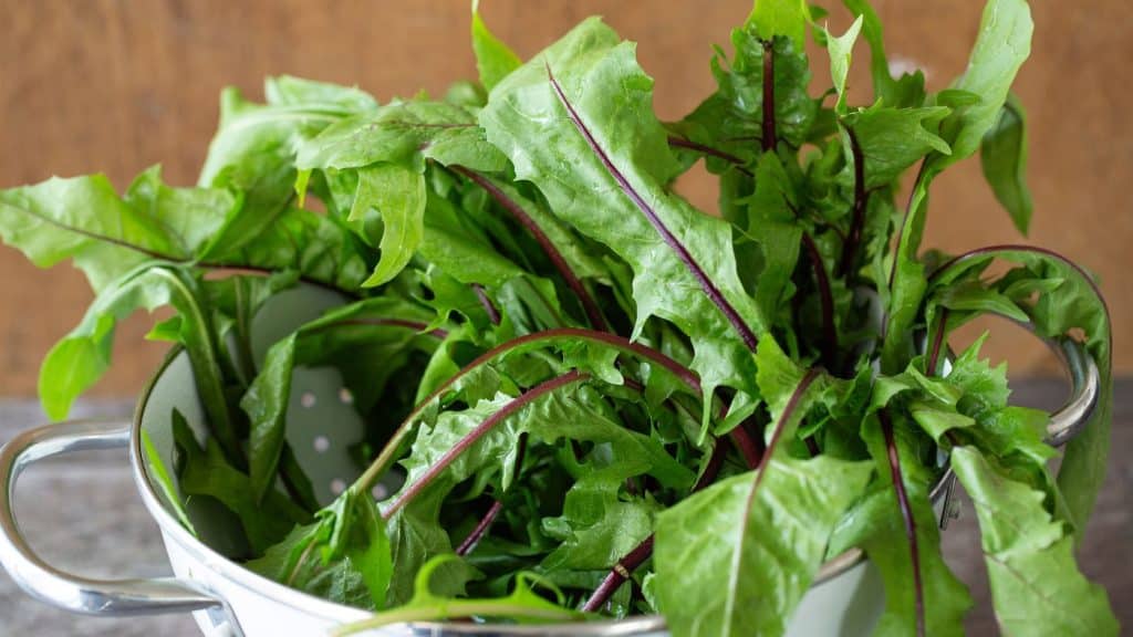 7-best-substitute-for-dandelion-greens-will-make-you-surprised