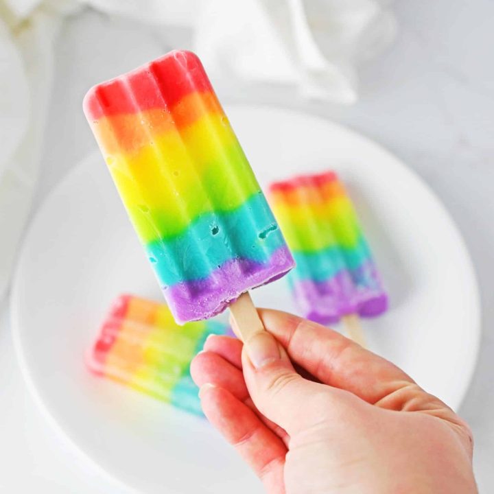 Rainbow Pudding Pops